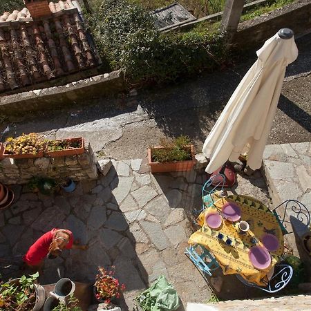 Chezcatherine Βίλα Sarzana Εξωτερικό φωτογραφία