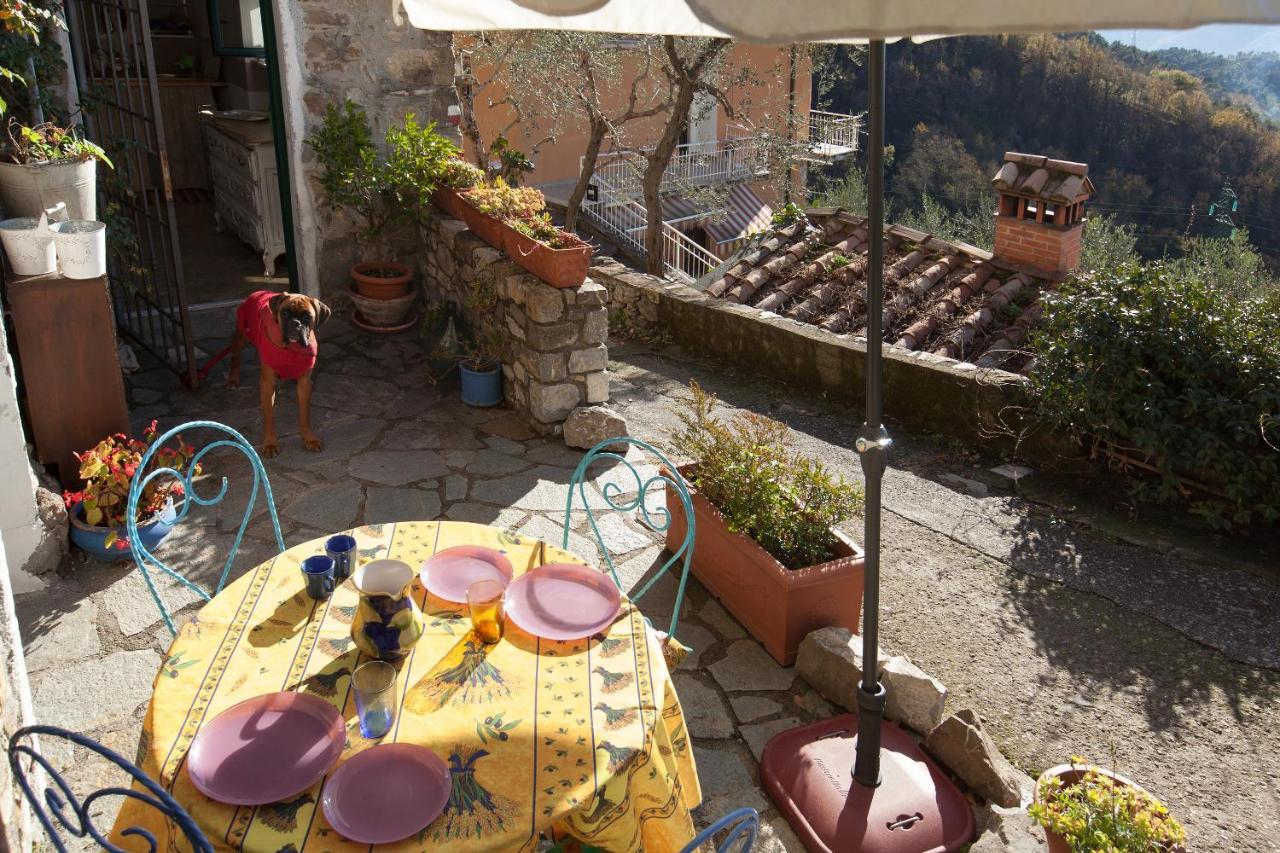 Chezcatherine Βίλα Sarzana Εξωτερικό φωτογραφία