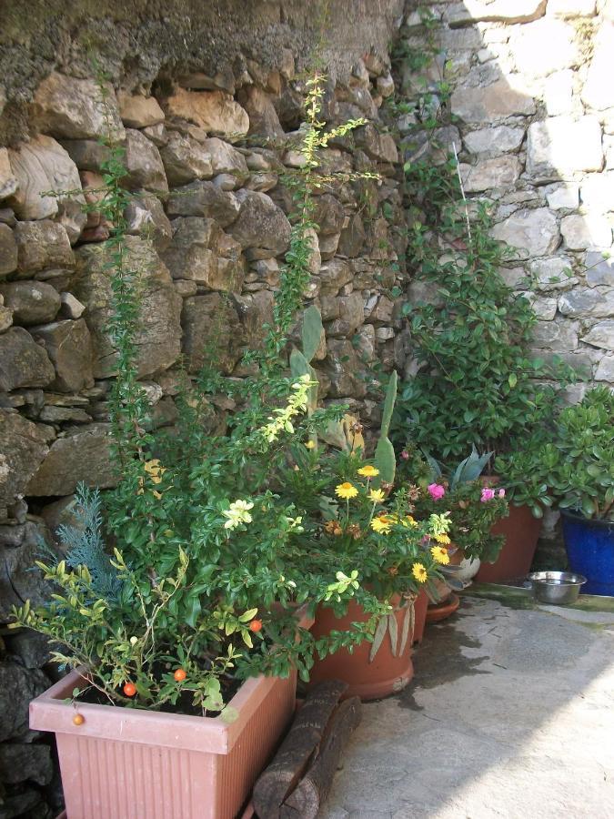Chezcatherine Βίλα Sarzana Εξωτερικό φωτογραφία